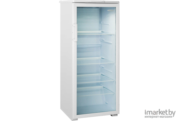 Торговый холодильник Бирюса 290