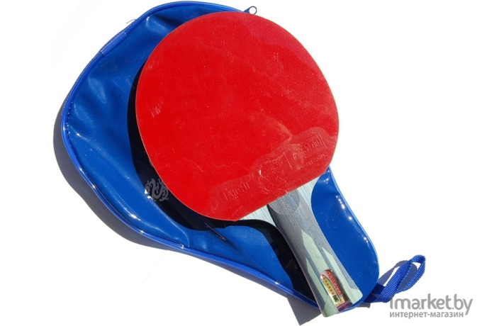 Набор для настольного тенниса Giant Dragon EDC7001