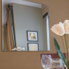 Зеркало для ванной Алмаз-Люкс 8c-С/035