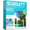 Напольные весы Scarlett SC-BS33ED12 Palms