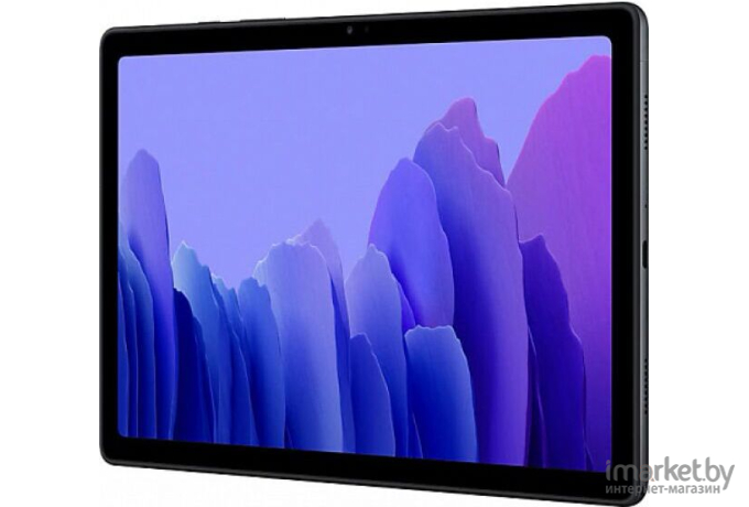 Планшет Samsung Galaxy Tab A7 64GB LTE SM-T505N темно-серый [SM-T505NZAESER]
