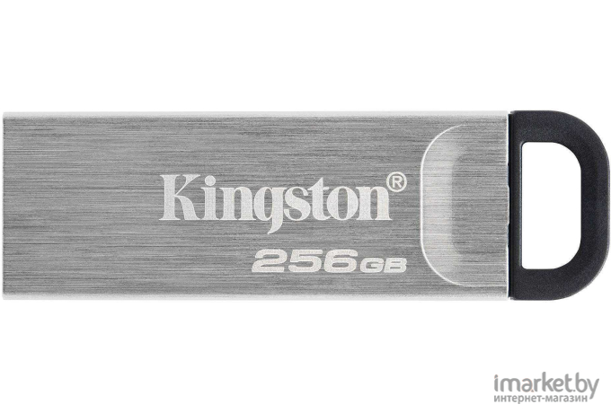 Usb flash Kingston 256Gb DataTraveler (DTKN/256GB)