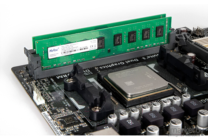 Оперативная память Netac DDR III 4Gb PC-12800 1600MHz Basic [NTBSD3P16SP-04]