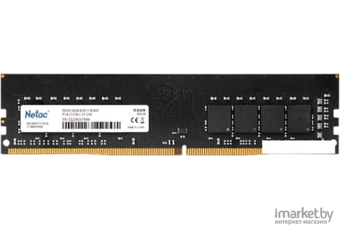 Оперативная память Netac DDR IV 8Gb PC-25600 3200MHz [NTBSD4P32SP-08]