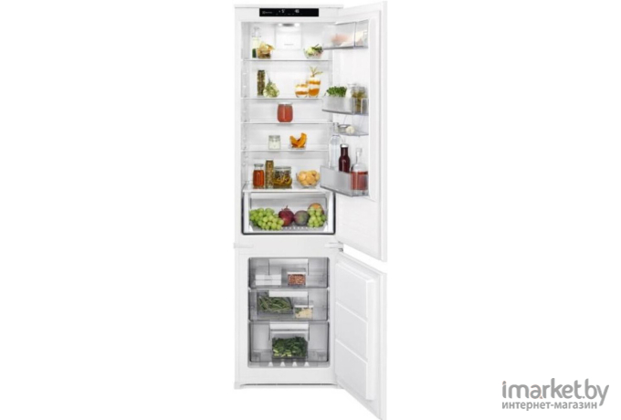 Холодильник Electrolux RNS6TE19S