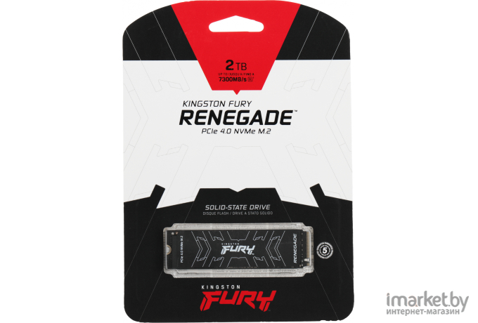 SSD диск Kingston M.2 2000Gb Fury Renegade [SFYRD/2000G]