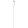 Кабель для компьютера Apple USB-C to Lightning Cable 1m (MM0A3)