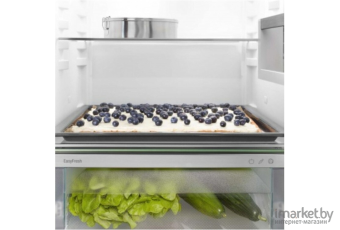 Холодильник Liebherr ICBNd5153-20001 Белый