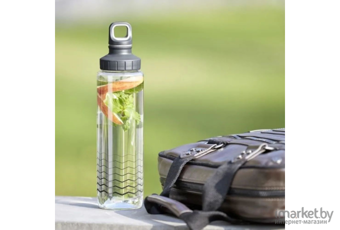 Бутылка для воды Emsa Drink2Go F3030800 (серебристый)