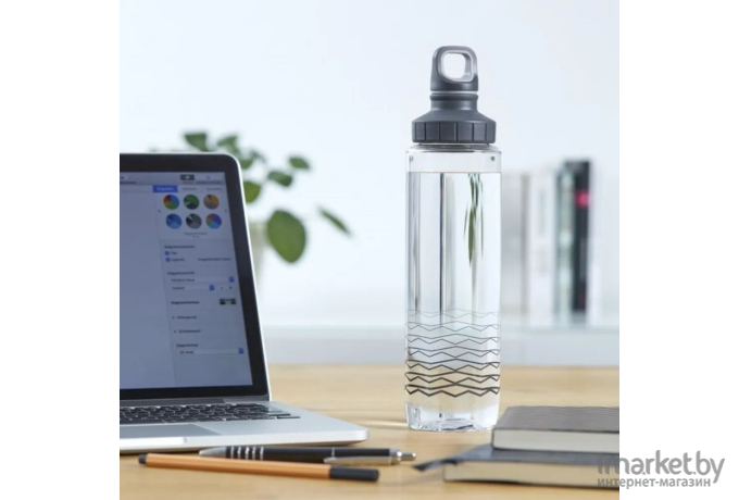 Бутылка для воды Emsa Drink2Go F3030800 (серебристый)