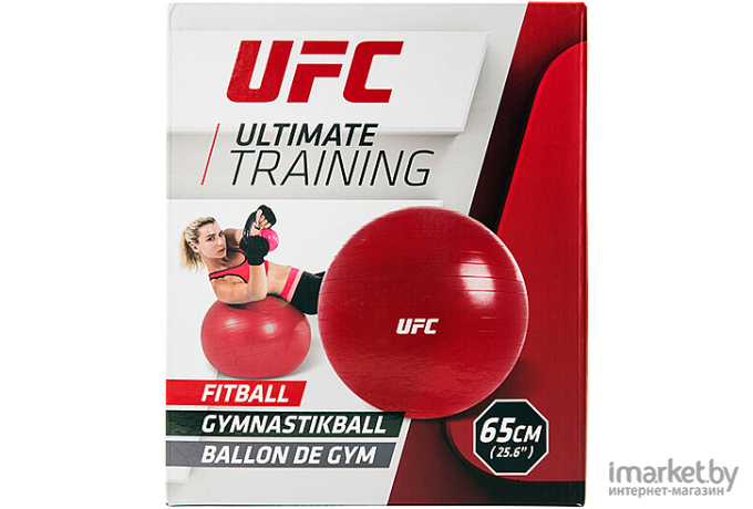 Гимнастический мяч Hasttings UFC 65см (UHA-69159)
