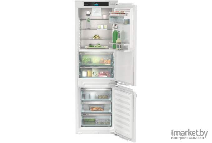 Холодильник Liebherr ICBNd 5153 Prime