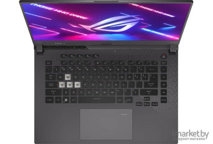 Ноутбук ASUS G513RM-LN406 (90NR0845-M00RF0)
