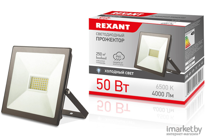 Прожектор светодиодный Rexant 50 Вт IP65 4000 лм 6500 К