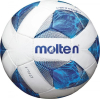 Футбольный мяч Molten F4A1710 4d