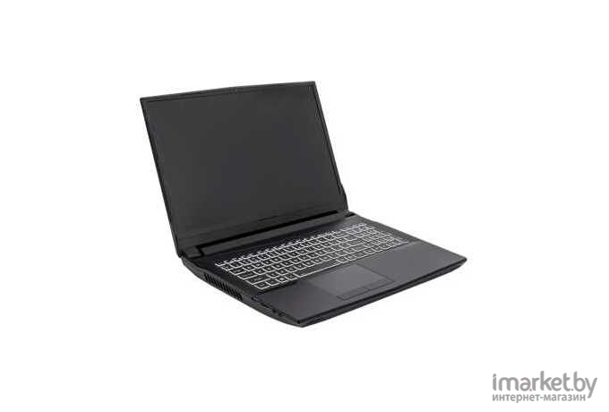 Ноутбук Hiper G16 Core i7 11700 black (G16RTX3070A11700W11)
