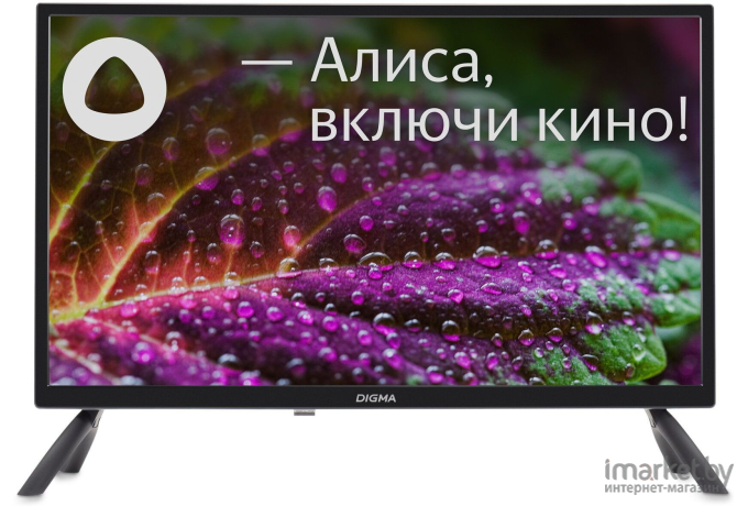 Телевизор Digma DM-LED24SBB31 Яндекс.ТВ черный