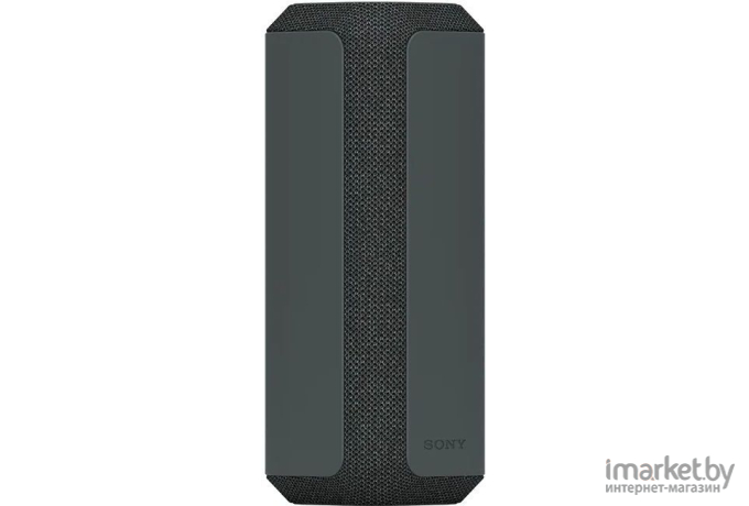 Беспроводная колонка Sony SRS-XE300 (черный)